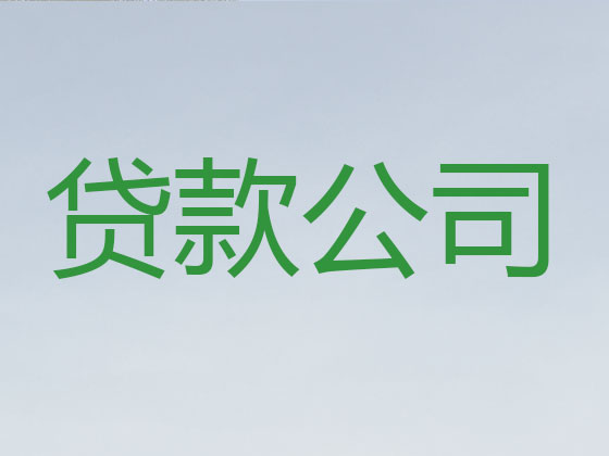 丰城市贷款公司-银行信用贷款